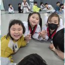 베스트 연세 태권도 이미지