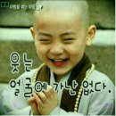 안녕달빛 이미지