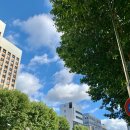 애오개공인중개사사무소 이미지