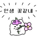 르코스모스 이미지