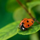 (주)명성 이미지