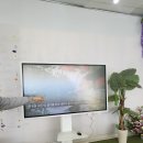 팜팜스토어 | 체험 ) 플라워팜팜 튤립, 라넌큘러스 꽃 따기 체험 (김해)