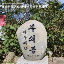 제 262차 태백산(1,572m) 정기산행공지(22/10/16) 이미지