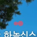 하녹신스테이