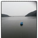 금평 농장 이미지