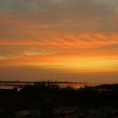 섬집오후 이미지