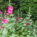 태산아파트 이미지