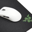 Max Speed | 레이저 기간투스 V2 Pro 게이밍 마우스패드 Speed 사용기