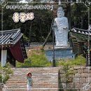 서울근교 드라이브 영종도 가볼만한 곳 백운산 사찰 용궁사