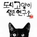 도시고양이생존연구소 이미지