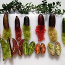 보라색라임 이미지