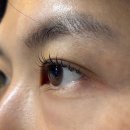 하엘리 | 👀 쌍촌동 하엘리 속눈썹펌 후기 | 눈매맞춤컬링에 유지력까지 완벽했던 곳