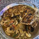 바다속으로 | 이집트 여행 Day 7 | 홍해 바다 속으로 풍덩, 후르가다 스노클링 후기.