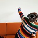 하이루 떡볶이 이미지