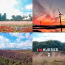 신례동로 | 제주도 한달살기 숙소 가성비 감성숙소 비용 미스터멘션 제주 휴애리 핑크뮬리