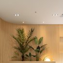 중앙동135 이미지