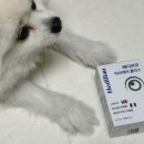 휴먼아이케어 이미지