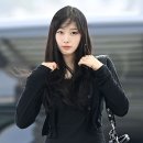 더지젤 이미지