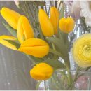 수지플라워 이미지