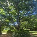 숲속의 펜션 이미지