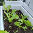 함지약국 이미지