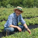 이기영농장 이미지