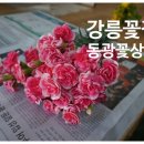 동광상사 이미지