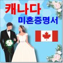 강남국제행정사 이미지