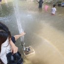 장원능이백숙 이미지