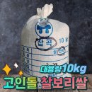 보리주식회사 이미지