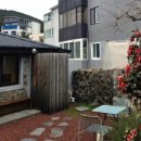 스테이아호이 이미지