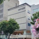 에이치스테이(H.stay) 이미지