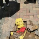 춘천시외버스터미널 이미지