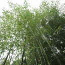 경주주상절리펜션 이미지