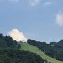 서울애견마트 | 서울 근교 애견 동반 호텔 소노펫비발디파크 내돈내산 후기