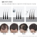 어반티가든 | 2020 더샘 골드샘 vip 키트 수령후기(제품소개)