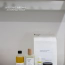 홀로닉아로마 이미지