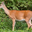 (주)알파메드 이미지