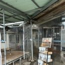 부여막국수 이미지