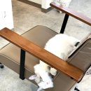 다옴헤어 네이버블로그