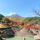 삼성궁 | 경남 단풍명소 하동 삼성궁 산청 단풍 여행 후기
