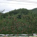 알선농원 이미지