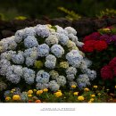 안성리-10 이미지