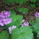 지천소공원 이미지