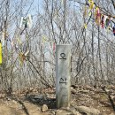 섬진강대나무숲길 이미지