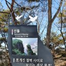 영월-74