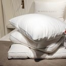 프리미엄 세탁마을 | 까사미아 구스베개 목이편한 기능성 베개 서래마을점에서 비교 체험 후기!