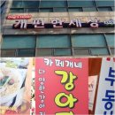 개 편한 세상 이미지