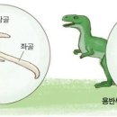 더조반 이미지