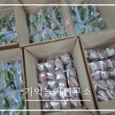 중랑노인종합복지관 | 노인맞춤돌봄서비스 인지프로그램 사례｜마음건강을위한 원예수업 중랑노인종합복지관 320키트 납품(9/19)